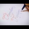 Chameleon Fineliners range 