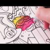 chameleon intro kit