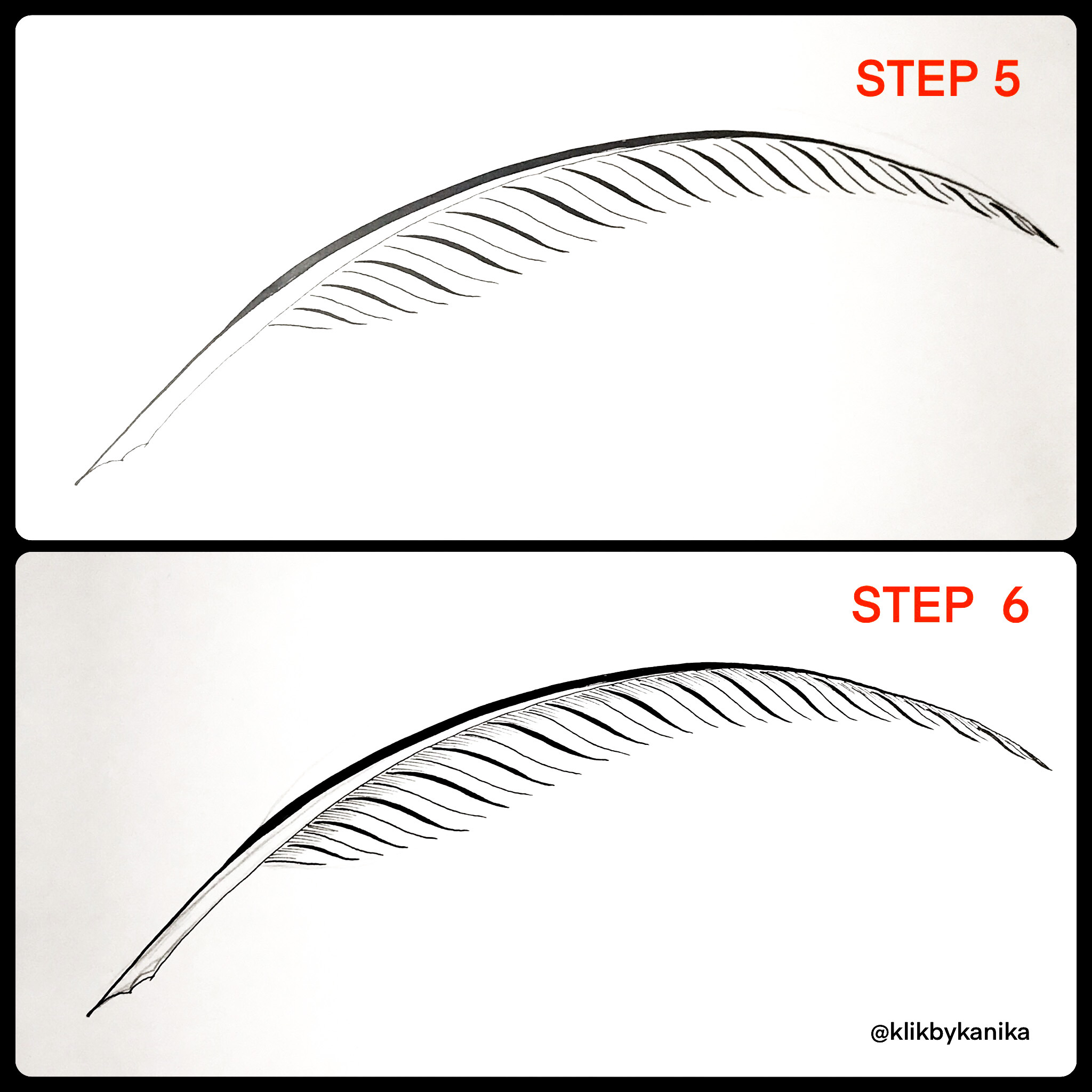 step 5/6 kanika