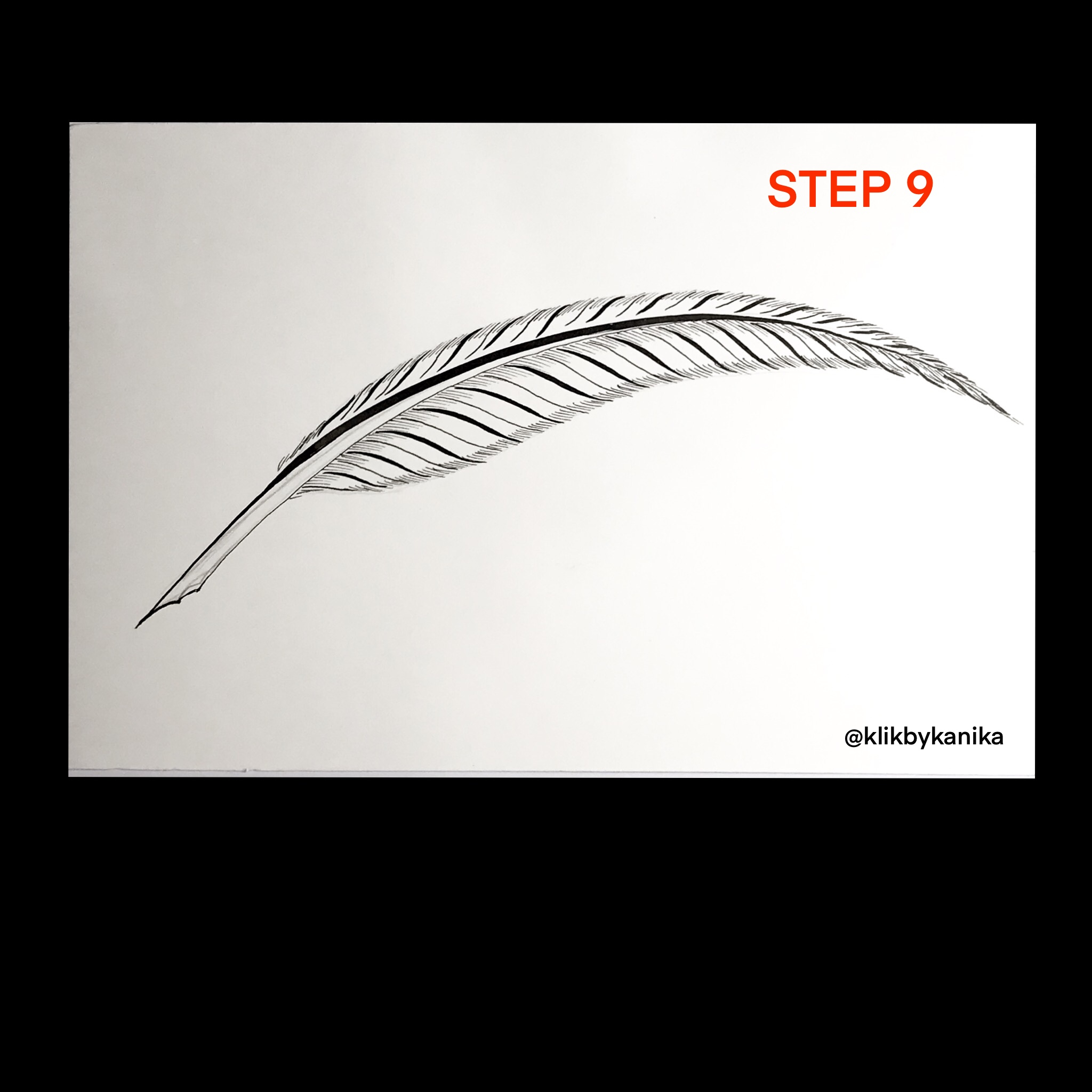 step 9 kanika
